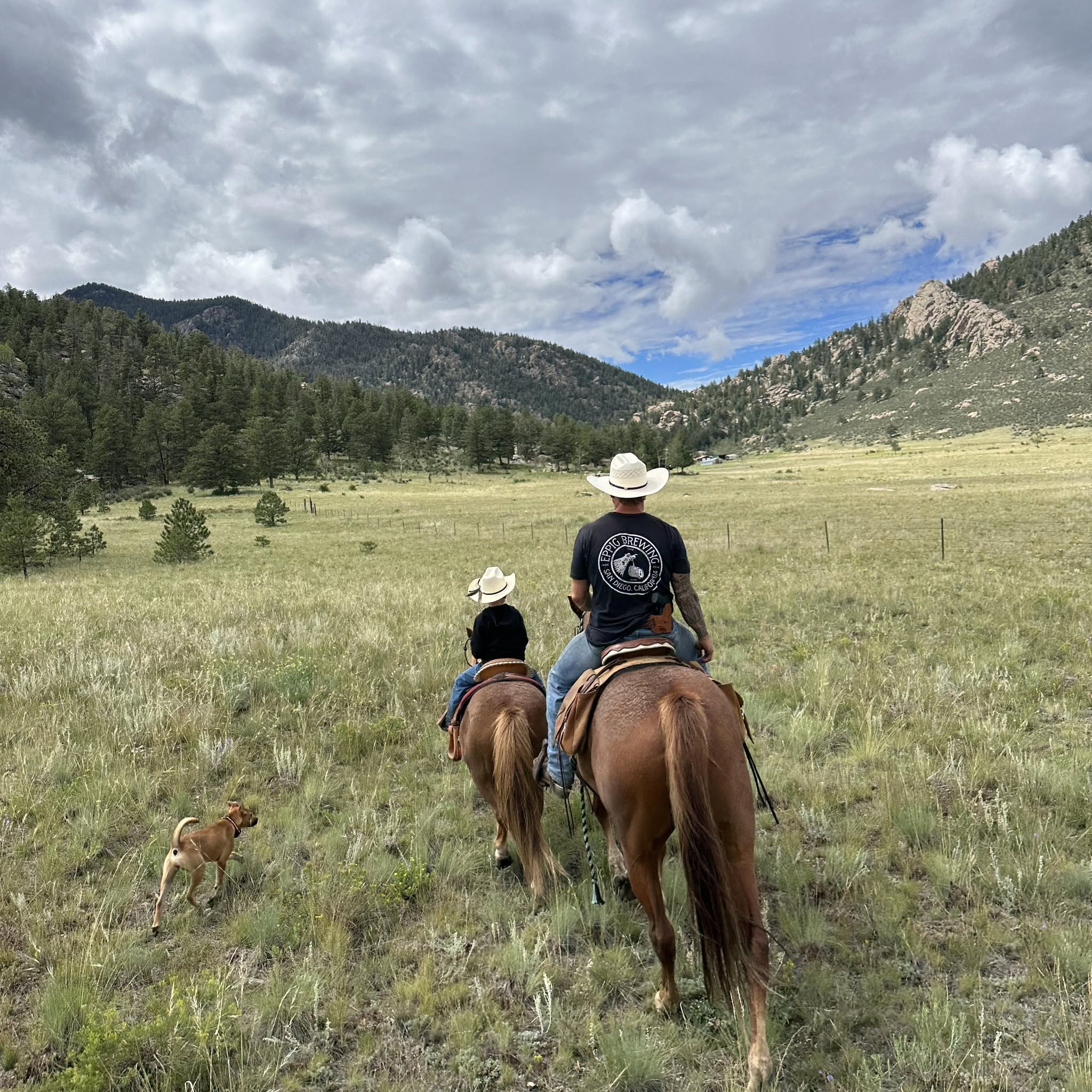 Young rider at the ranch