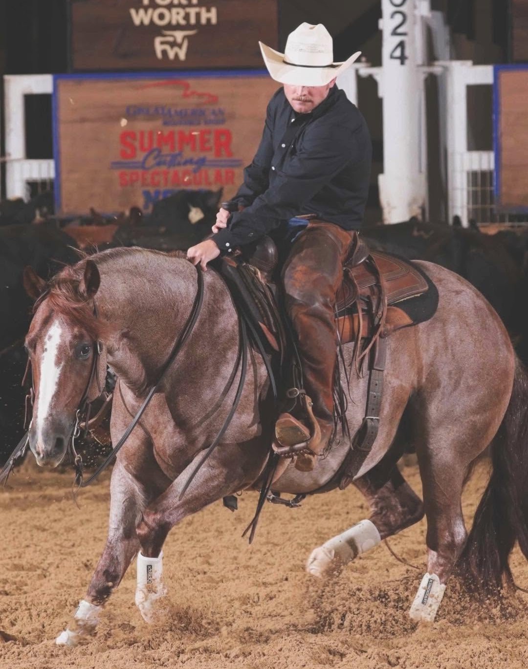 Sean competing with a horse